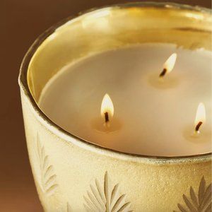 NWT ANTHROPOLOGIE Autumn Splendor Glass Gold Gilded Forest Fern Scented Candle